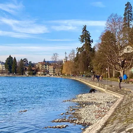 Charming Apartment-walk To Old Town,
