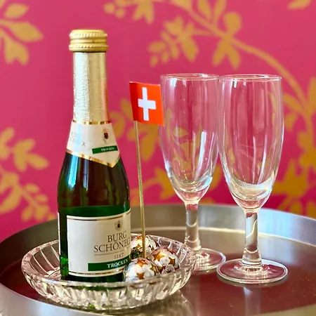 Charming Apartment-walk To Old Town, Thun