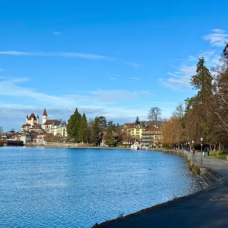 Charming Apartment-walk To Old Town, * Thun