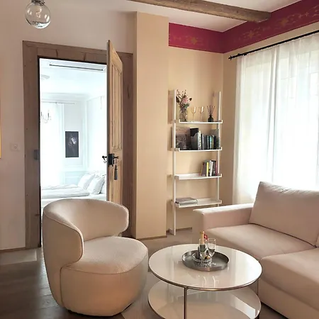 Charming Apartment-walk To Old Town, Thun