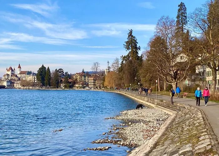 Charming Apartment-walk To Old Town,