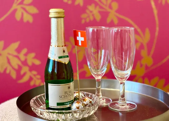 Charming Apartment-walk To Old Town, Thun